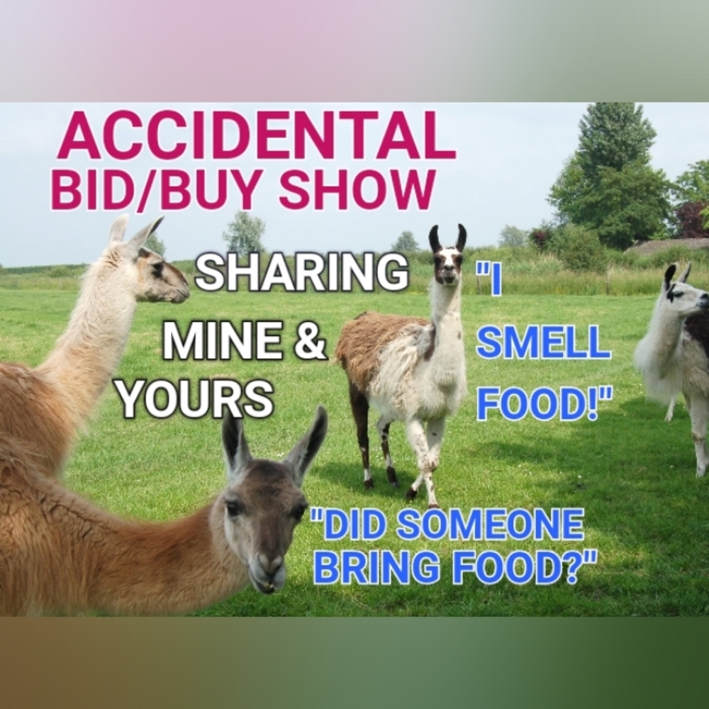Accidental Bid/Buy Show - Please Read Show Rules Before Attending - Thank You!